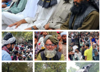 گجر بکروال طبقہ کے مطالبات