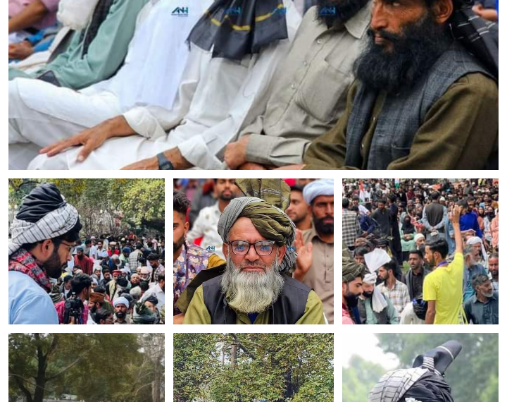 گجر بکروال طبقہ کے مطالبات