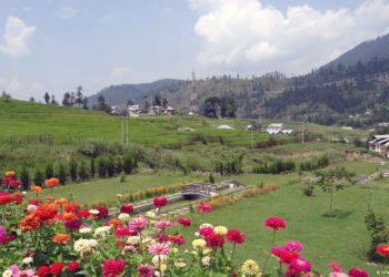 بھدرواہ کے الپائن گھاس کے میدان پکنک منانے والوں کیلئے پسندیدہ مقام بنا
