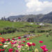 بھدرواہ کے الپائن گھاس کے میدان پکنک منانے والوں کیلئے پسندیدہ مقام بنا
