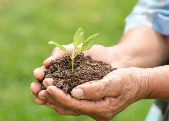 ’’ماحولیات کا تحفظ‘‘ ایک دینی و معاشرتی فریضہ