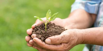 ’’ماحولیات کا تحفظ‘‘ ایک دینی و معاشرتی فریضہ