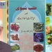 سائنس کی تعلیم سے زیادہ سائنسی مزاج ضروری۔۔۔