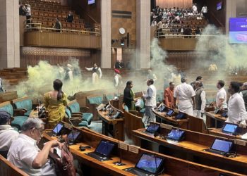 دو نوجوان لوک سبھا کی وزیٹرس گیلری سے ایوان میں داخل ہوئے