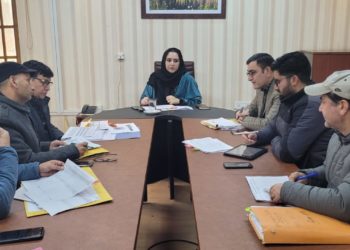 ضلع ترقیاتی کمشنر بارہمولہ نے 2023-24ء کیلئے کے پی ڈی سی ایل کے تحت منصوبوں کی پیش رفت کا جائزہ لیا