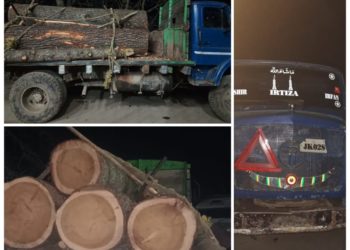 ہندواڑہ میں پولیس نے غیر قانونی لکڑی ضبط، ایک اسمگلر گرفتار