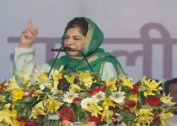 لوگوں کو بغیر تفتیش کے جیل بھیج دیا جا رہا ہے: محبوبہ مفتی