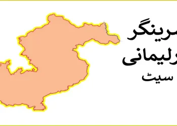 سرینگر پارلیمانی نششت کے متعلق چند اہم نکات
