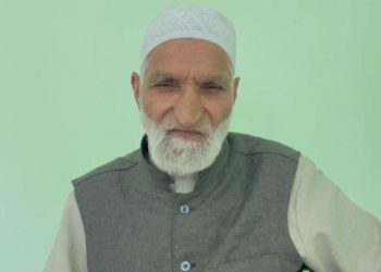 ہم نے جمہوری عمل میں حصہ لیا اور حق رائے دہی کا استعمال کیا: غلام قادر وانی