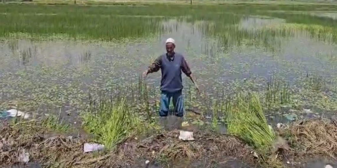 کھیتوں میں پانی داخل ہونے سے کسان پریشان