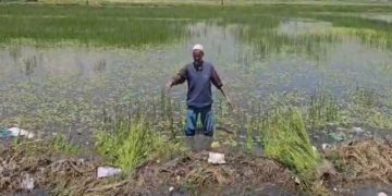 کھیتوں میں پانی داخل ہونے سے کسان پریشان