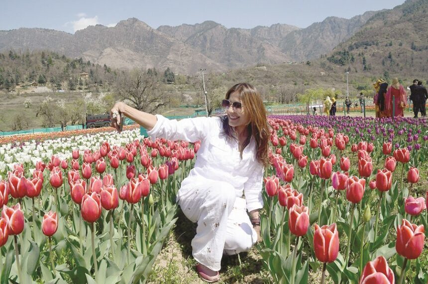 کشمیر میں سیاحوں کے سیلاب نے پچھلے تمام ریکارڈ توڑ ڈالے