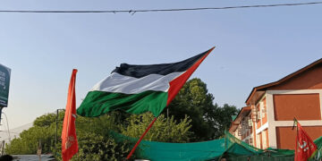 سرینگر میں محرم کے جلوس کے دوران عزاداروں نے فلسطینی پرچم لہرایا