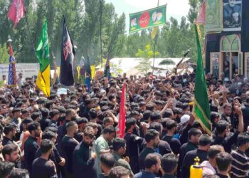 کشمیر کے طول و عرض میں جلوس عزا برآمد