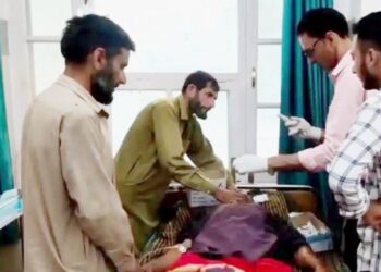 انسان اور جنگلی جانوروں کے درمیان  بڑھتے تصادم کی وجہ کیا ہے؟