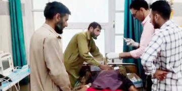 انسان اور جنگلی جانوروں کے درمیان  بڑھتے تصادم کی وجہ کیا ہے؟