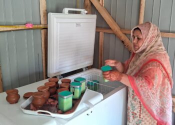 این آر ایل ایم، بے روزگار خواتین کے لئے امید کی کرن