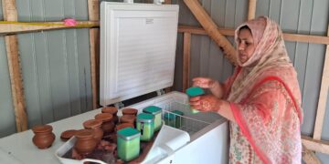 این آر ایل ایم، بے روزگار خواتین کے لئے امید کی کرن