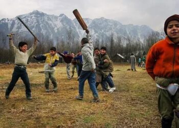 کشمیر میں کرکٹ کا جنون لائیو اسٹریمنگ کے ذریعے پروان چڑھ رہا ہے