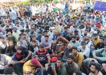 ترال۔۔۔۔۔۔۔۔سیاسی طورایک بانجھ علاقہ۔