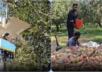 بجبہارہ سے تعلق رکھنے والے سجاد حسین نے اپنے باغ میں موسم کی پیشن گوئی کرنے والی مشین نصب کی