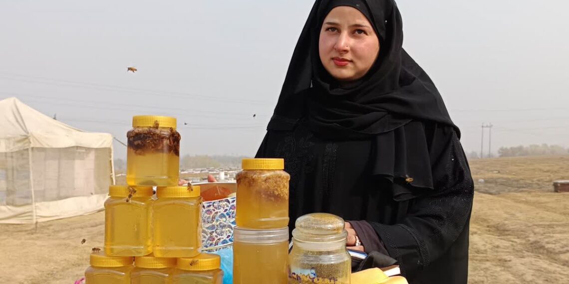 مگس بانی میں منفرد مقام حاصل کرنے والی کشمیری خاتون ثانیہ زہرہ، خاص رپورٹ