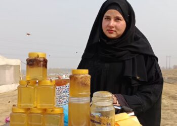 مگس بانی میں منفرد مقام حاصل کرنے والی کشمیری خاتون ثانیہ زہرہ، خاص رپورٹ
