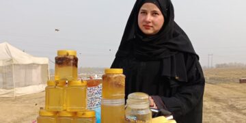 مگس بانی میں منفرد مقام حاصل کرنے والی کشمیری خاتون ثانیہ زہرہ، خاص رپورٹ