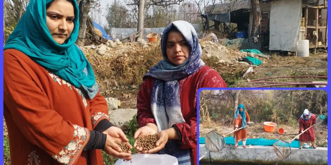 کشمیری بہنوں نے رقم کی ٹراؤٹ فِش فارمنگ کی نئی داستان