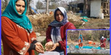کشمیری بہنوں نے رقم کی ٹراؤٹ فِش فارمنگ کی نئی داستان