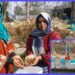 کشمیری بہنوں نے رقم کی ٹراؤٹ فِش فارمنگ کی نئی داستان