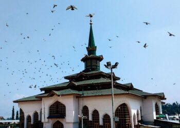 شیخ نورالدّین ولی کا مرتبہ اور مقام