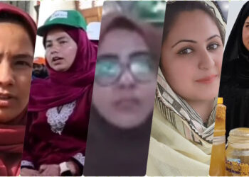 سال 2024 کی وہ کامیاب کشمیری خاتون کاروباری جن کے کام کی وزیراعظم نے بھی ستائش کی